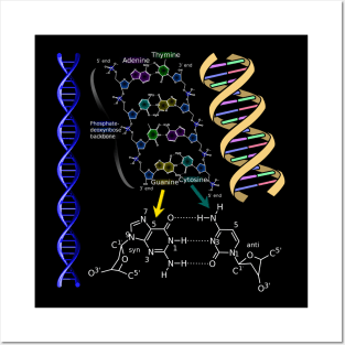 DNA Double Helix Chemical Formula Molecules Science Art Posters and Art